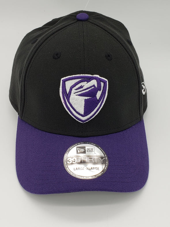 Lancaster JetHawks Alt Hat