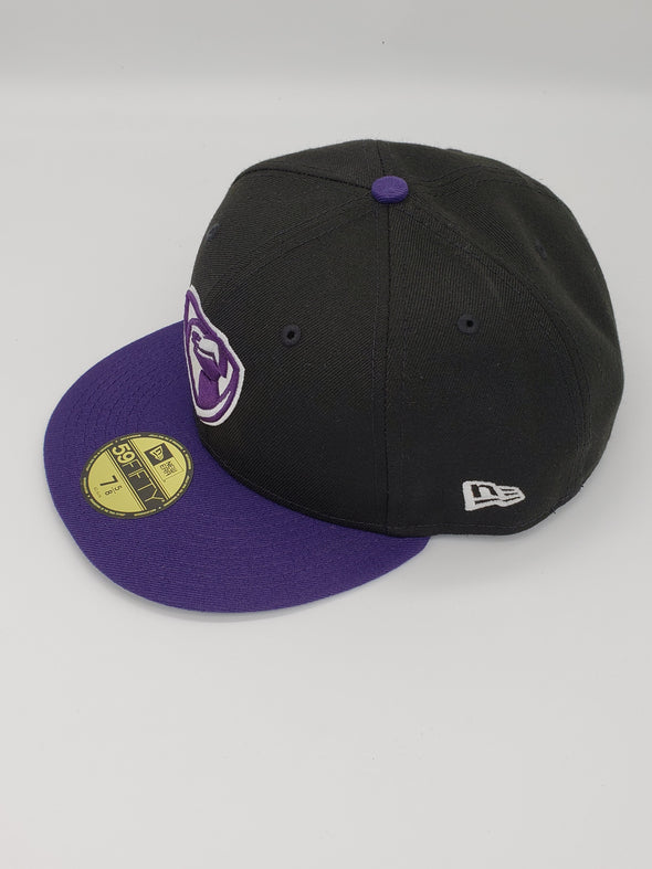 Lancaster JetHawks New Era Alt Hat
