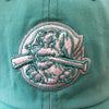 Charleston RiverDogs Tiffany Blue Clean Up