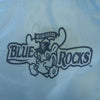 Wilmington Blue Rocks Recyclable Shopping Bag