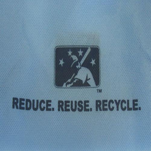 Wilmington Blue Rocks Recyclable Shopping Bag
