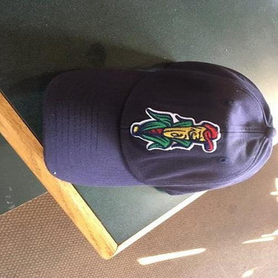 Cedar Rapids Kernels Garment Washed Road logo cap