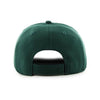 Fort Wayne TinCaps Forest/Gray MVP