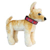 Rome Braves Dog Collar