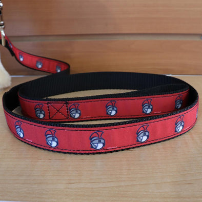 Rome Braves Dog Leash