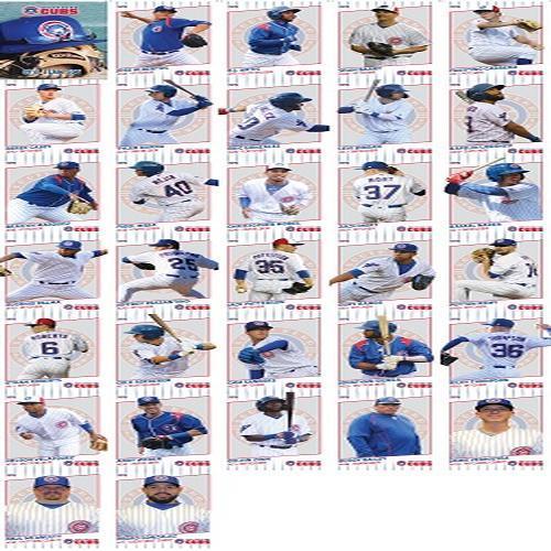 2019 South Bend Cubs Team Set