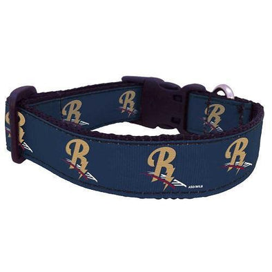 Scranton/Wilkes-Barre RailRiders Pet Collar