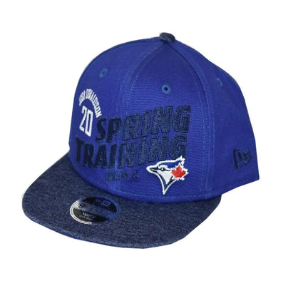 Blue Jays Spring Training Youth Home Run Tribute Donaldson 950