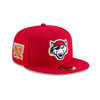 Erie SeaWolves 2018 Erie SeaWolves Stars & Stripes Hat