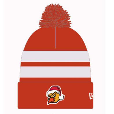 Hens Holiday Knit Cap