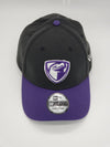 Lancaster JetHawks Alt Hat