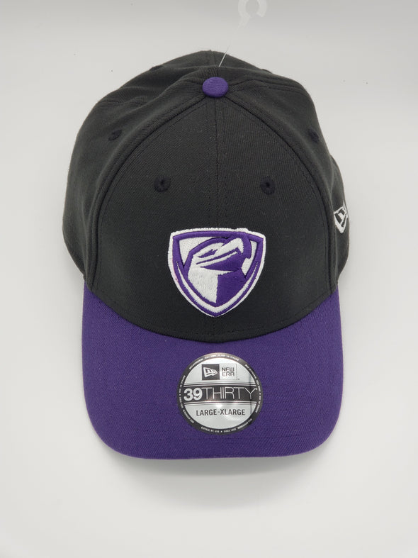 Lancaster JetHawks Alt Hat