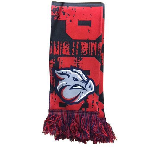 Lehigh Valley IronPigs Big Logo Scarf