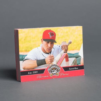 Erie SeaWolves 2013 Erie SeaWolves Team Set