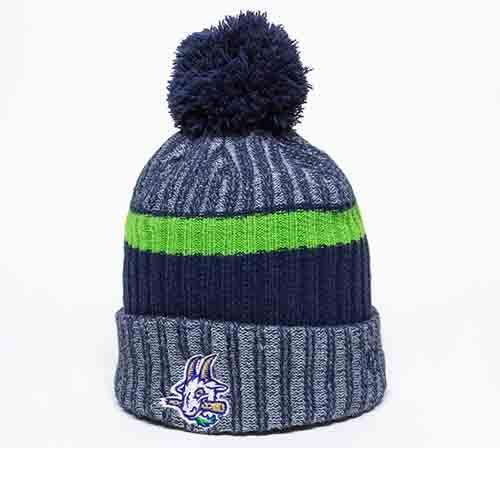 Hartford Yard Goats Navy, Green and Grey Beanie