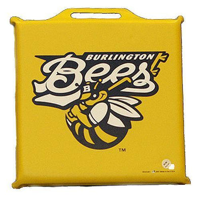 Burlington Bees Seat Cushion