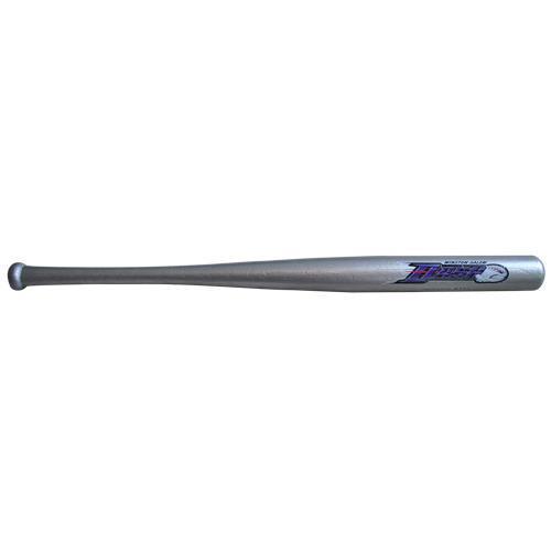 Winston-Salem Dash Dash Long Logo Mini Bats