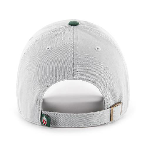 Fort Wayne TinCaps Storm Clean Up