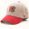 Wisconsin Timber Rattlers Toddler Road Hat