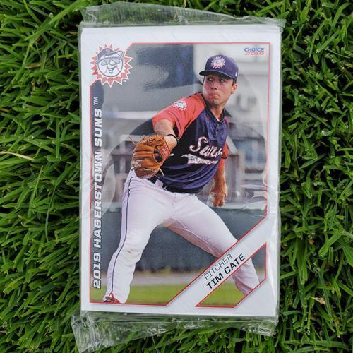 Hagerstown Suns 2019 Team Set