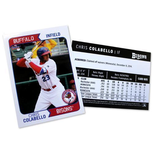 Buffalo Bisons 2015 Team Card Set