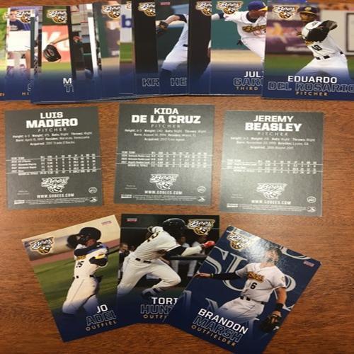 Burlington Bees 2018 Burlington Bees Team Set