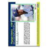 Everett AquaSox 2013 Baseball Card Set