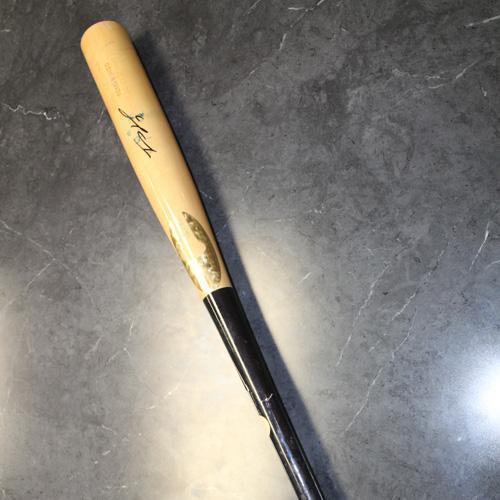 Tomas Nido Shattered Bat