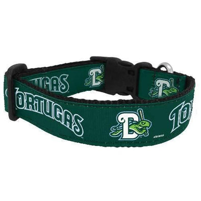 DAYTONA TORTUGAS ALL STAR DOGS DOG COLLAR