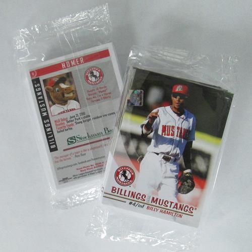 Billings Mustangs 2010 Billings Mustangs Team Set