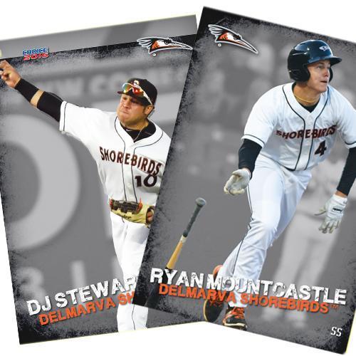 Delmarva Shorebirds 2016 Team Card Set