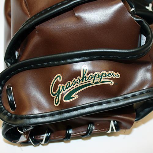 Rawlings Glove and Softee Ball Set