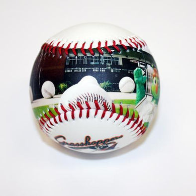 BWM Stadium Baseball