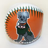 BWM Miss Babe Ruth Softee Ball