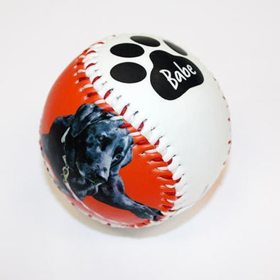 BWM Miss Babe Ruth Baseball