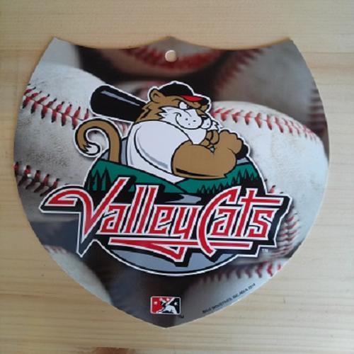 Tri-City ValleyCats ValleyCats Interstate Road Sign