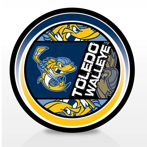 Vice Versa Puck