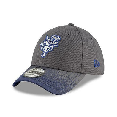 Hartford Yard Goats New Era Visor Blur Flex Fit in Grey / Blue