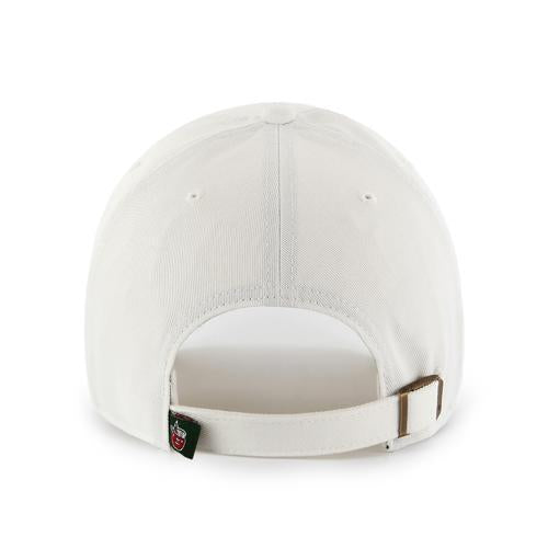 Fort Wayne TinCaps White Clean Up