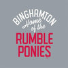 UA Women's V-Neck