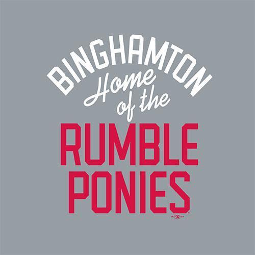 UA Women's V-Neck