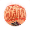 Wisconsin Timber Rattlers Batter Up Ball