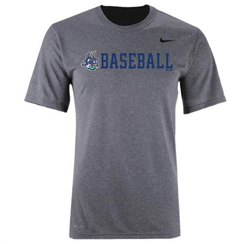 Hartford Yard Goats Nike Youth Dri-Fit in Grey