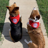 Nashville Sounds Red Dog Bandana