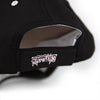 Wisconsin Timber Rattlers Condenser Hat