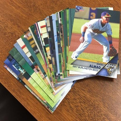 Burlington Bees 2017 Burlington Bees Team Set