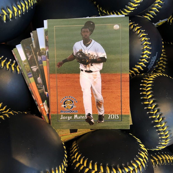 Charleston RiverDogs 2015 Team Set