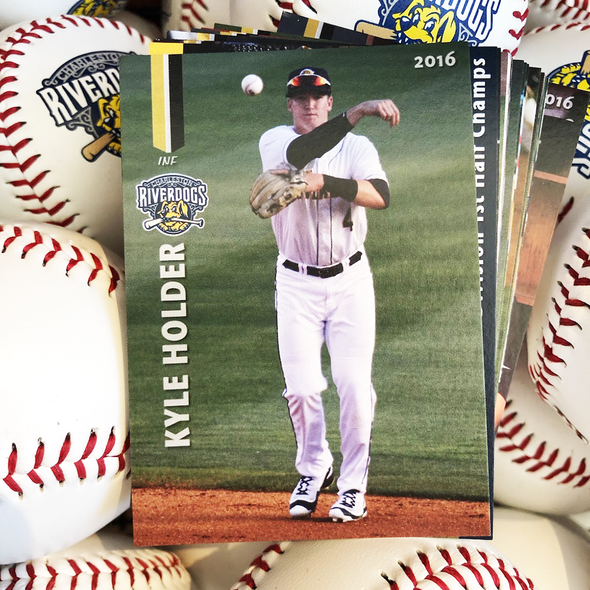 Charleston RiverDogs 2016 Team Set