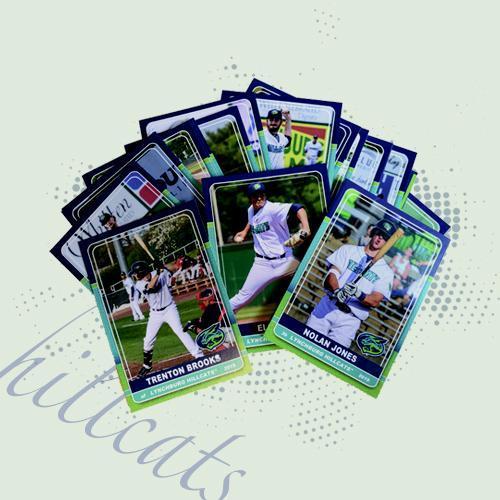 Lynchburg Hillcats 2019 Hillcats Team Set