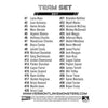 Vermont Lake Monsters 2017 Lake Monsters Team Set